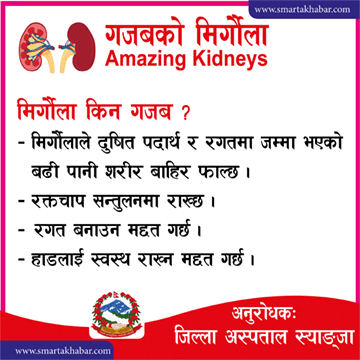 स्याङ्जा अस्पतालको अनुरोध
