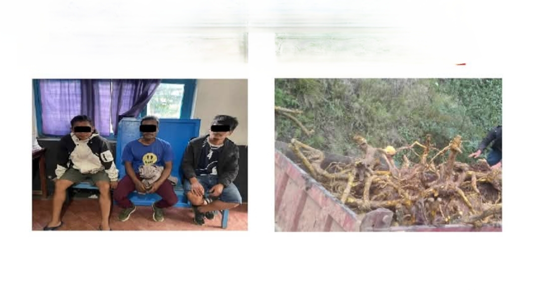 ५ सय केजी अवैध  जडिबुटीसहित  ३ युवा प्रहरी नियन्त्रणमा 