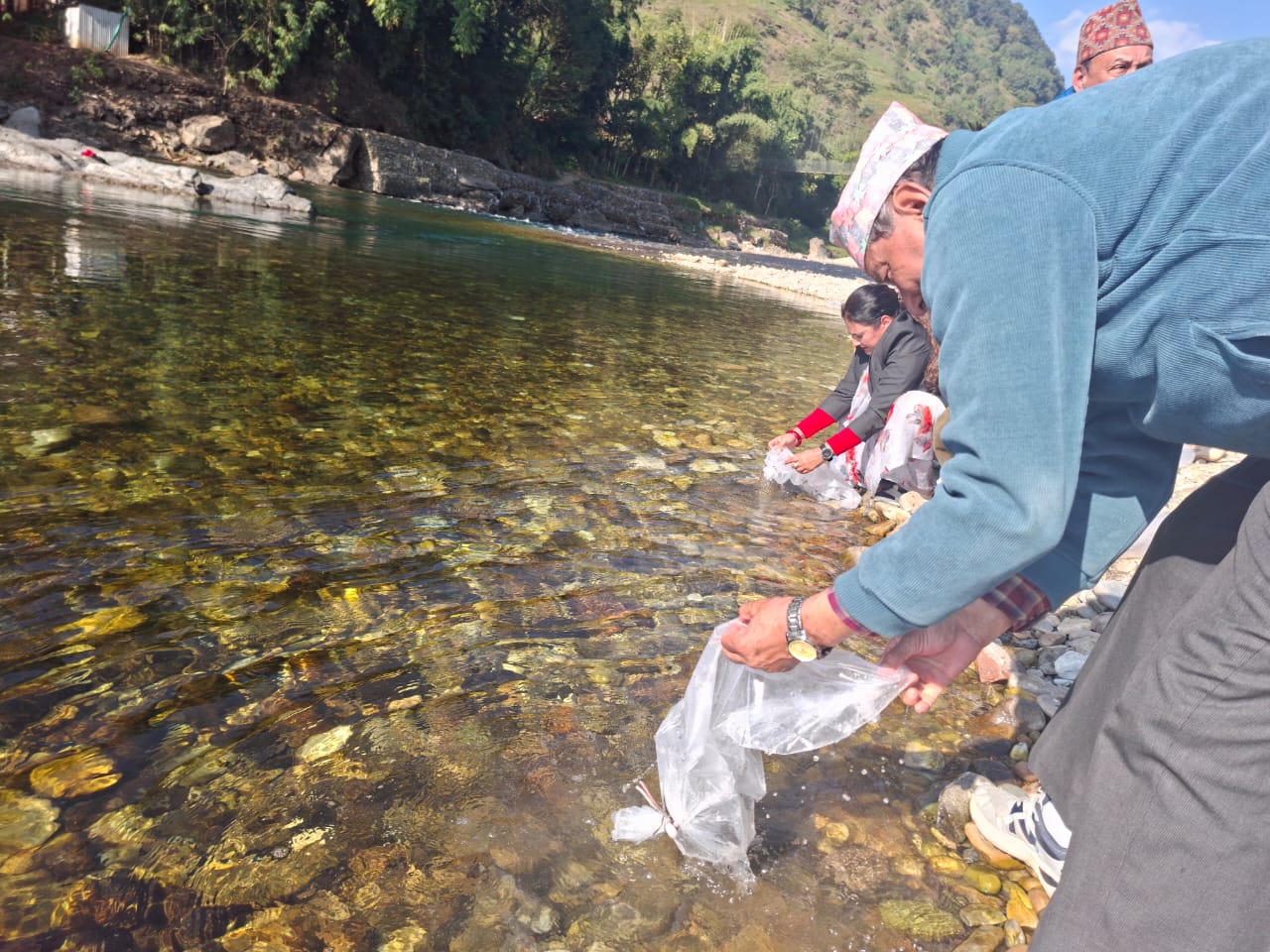 आँधिखोलामा छोडियो माछाका भुरा