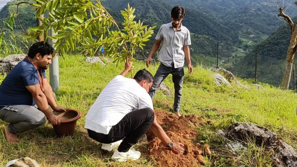भीरकोट जेसिजद्वारा नवग्रह मन्दिर परिसरमा वृक्षारोपण