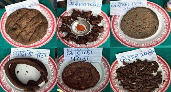 विद्यालय दिवा खाजामा कोदोको परिकार अनिवार्य