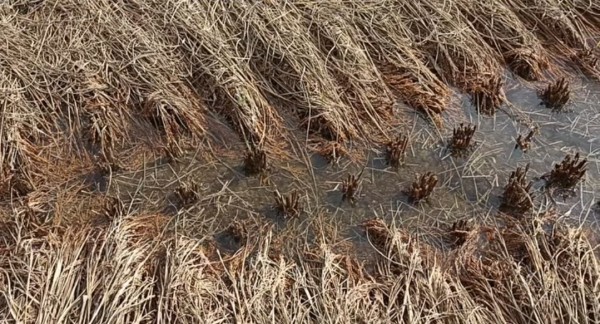 सम्पादकीय: किसानलाई तत्काल राहत दिनुपर्छ