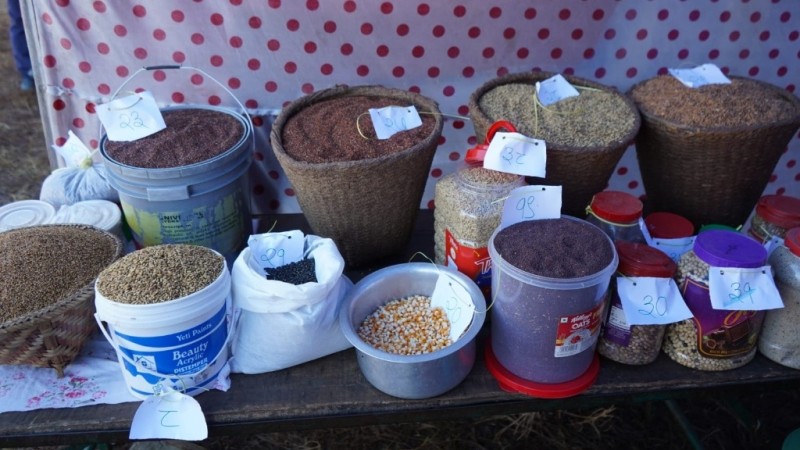 फेदीखोलाको कृषि मेलामा ८५ उत्कृष्ट कृषक सम्मानित