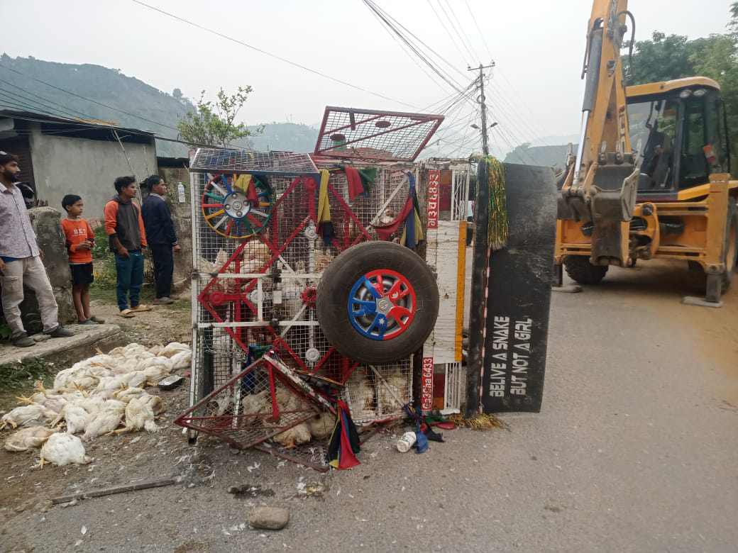बोलेरो जीप दुर्घटना, ३ सय कुखुरा मरे