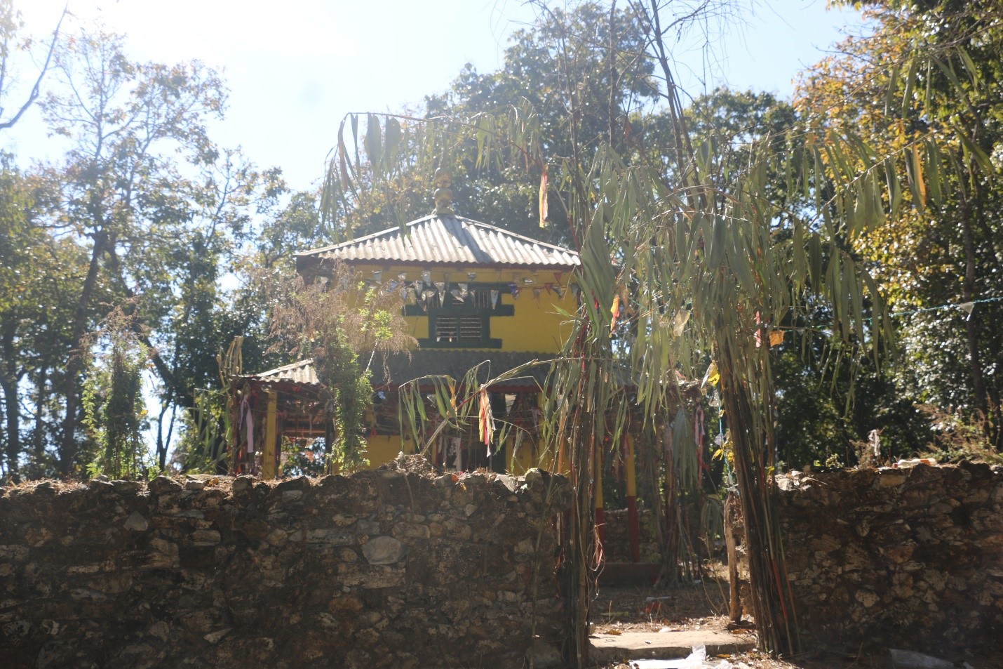 ng-1792046788.jpg